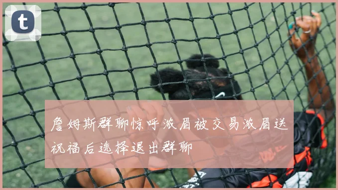 詹姆斯群聊惊呼浓眉被交易浓眉送祝福后选择退出群聊