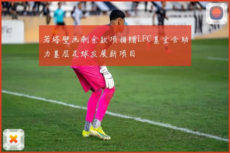 若塔壁画剩余款项捐赠LFC基金会助力基层足球发展新项目
